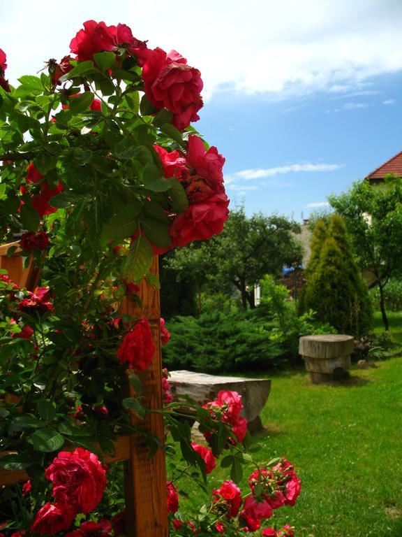 Pensjonat B&B Nad Rudawa Cracovia Exterior foto